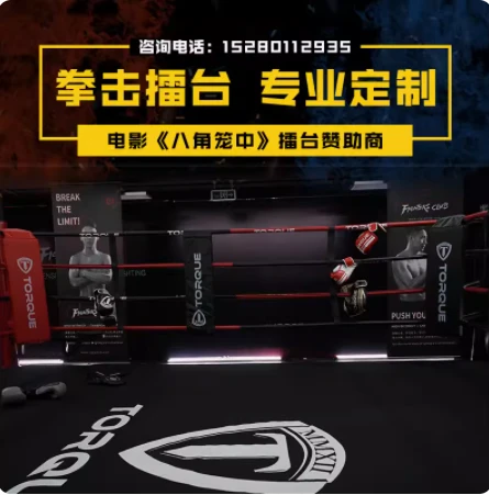 Octagon til MMA
