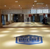 XPE måtte til boksning Jodo MMA